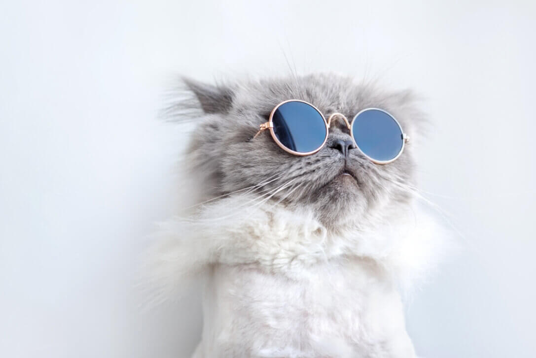 Lorem ipsum dolor sit