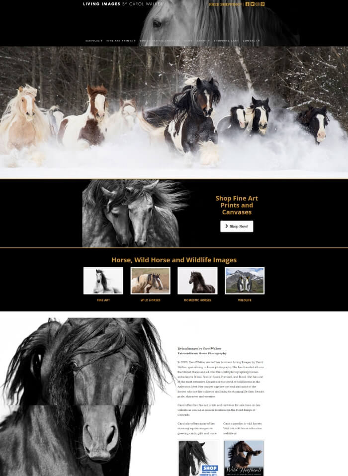 Living Images Featured