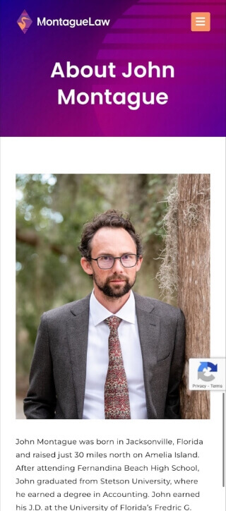 MontagueLaw Inner page